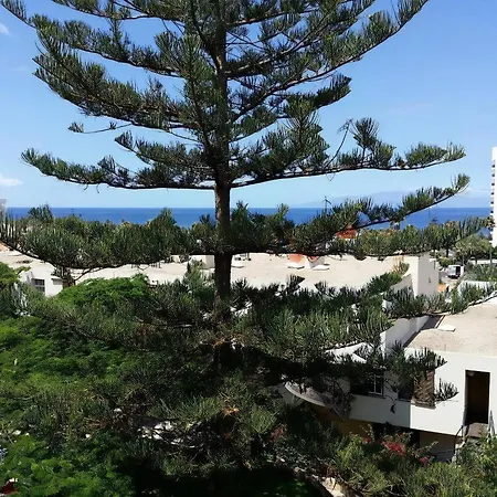 Apartment Jacaranda Mit Pool Playa de las Americas (Tenerife)